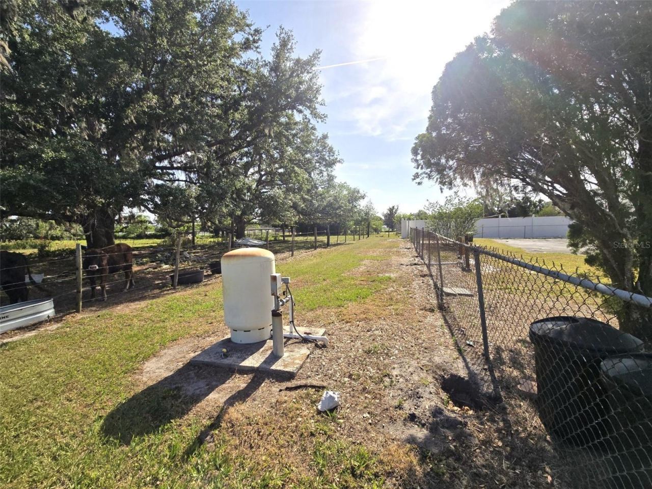 3101 Medulla Road, Plant City, FL 33566 Photo