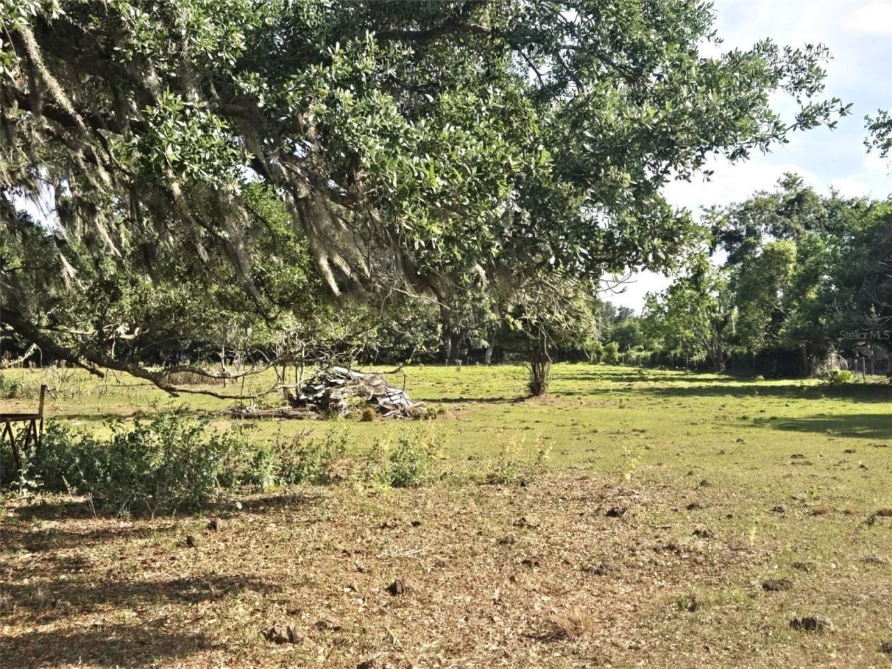 3101 Medulla Road, Plant City, FL 33566 Photo