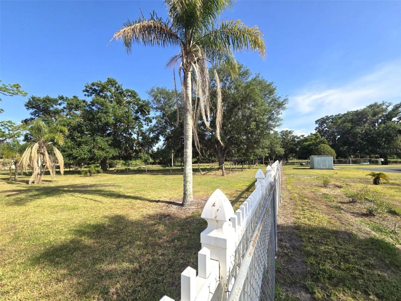 3101 Medulla Road, Plant City, FL 33566 Photo