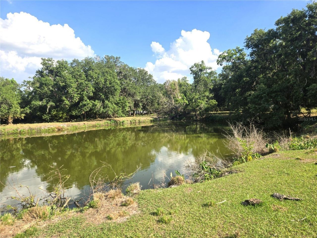 3101 Medulla Road, Plant City, FL 33566 Photo
