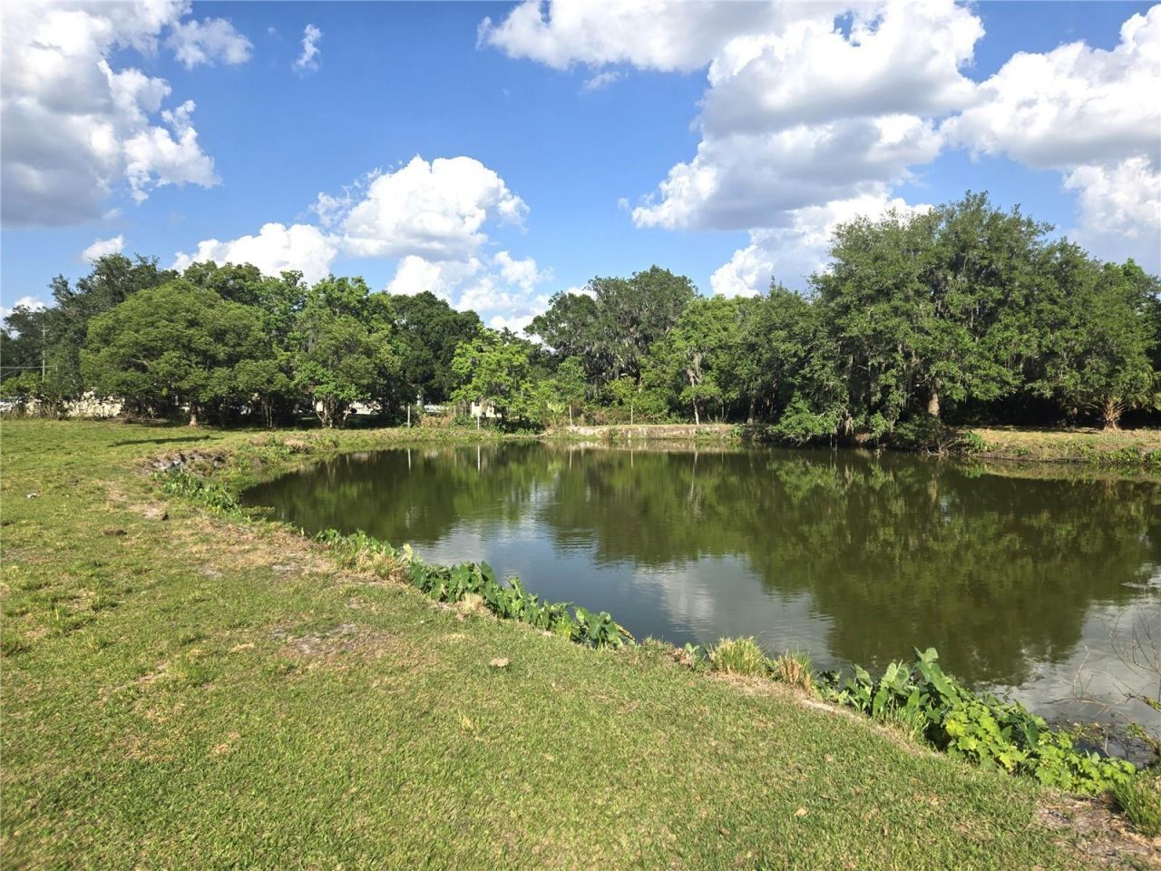 3101 Medulla Road, Plant City, FL 33566 Photo