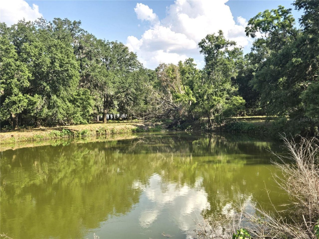 3101 Medulla Road, Plant City, FL 33566 Photo