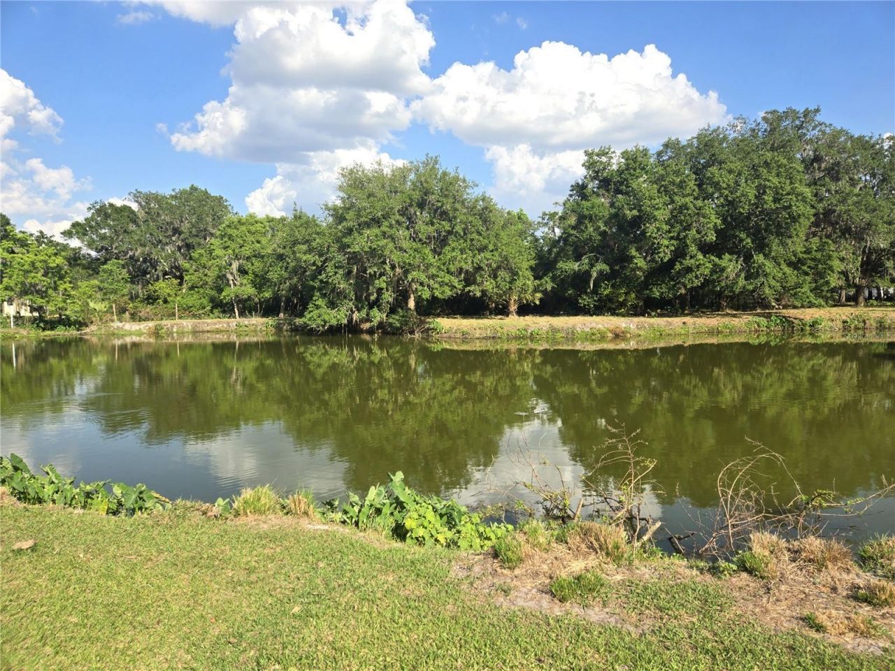 3101 Medulla Road, Plant City, FL 33566 Photo