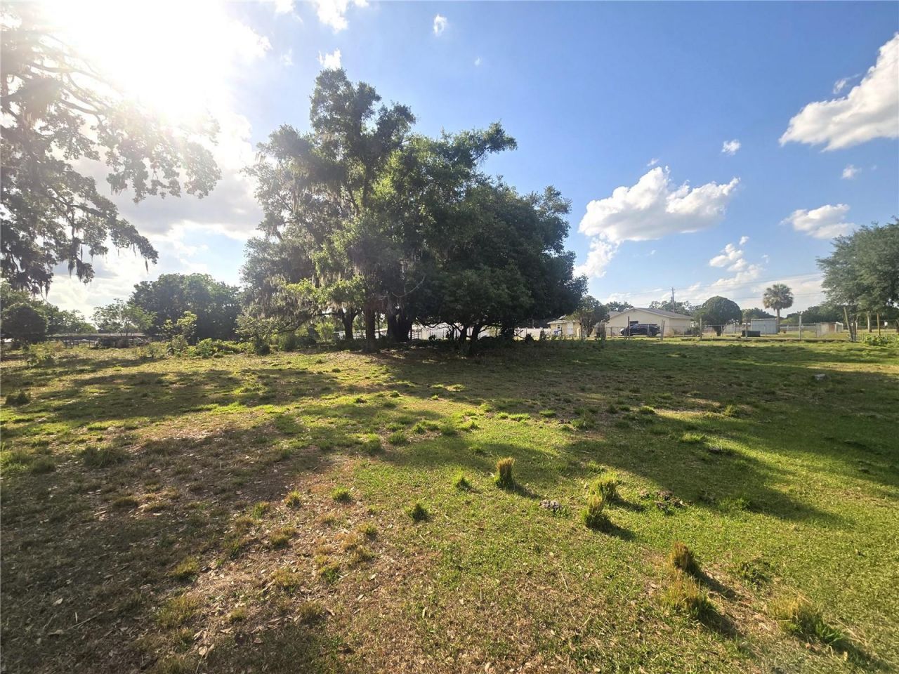 3101 Medulla Road, Plant City, FL 33566 Photo