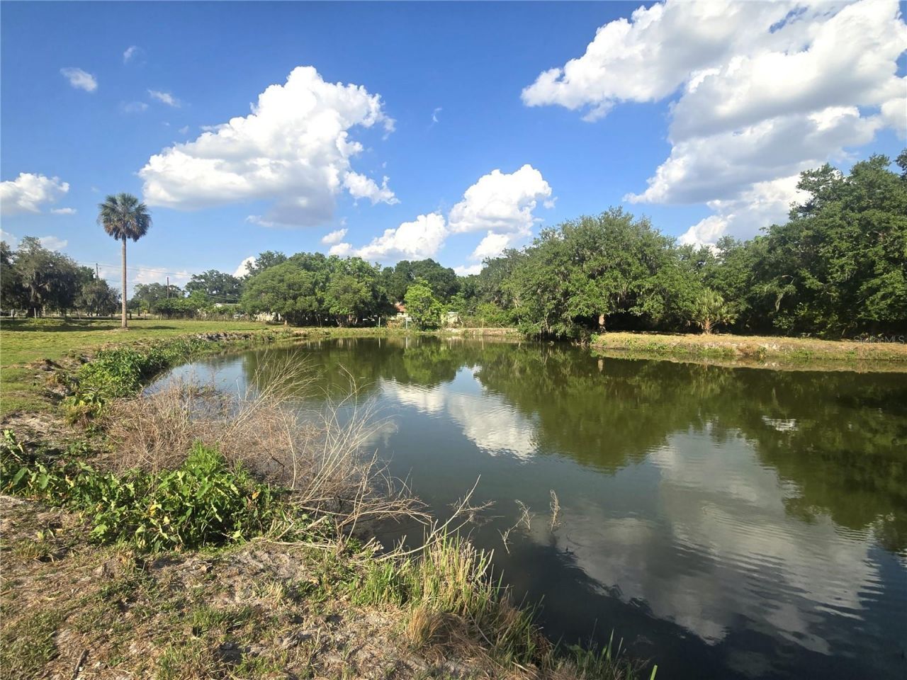 3101 Medulla Road, Plant City, FL 33566 Photo