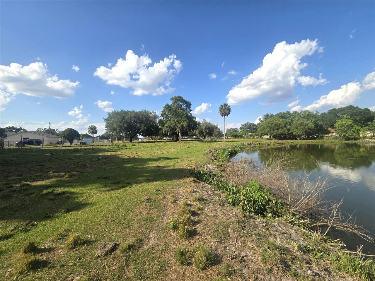 3101 Medulla Road, Plant City, FL 33566 Photo