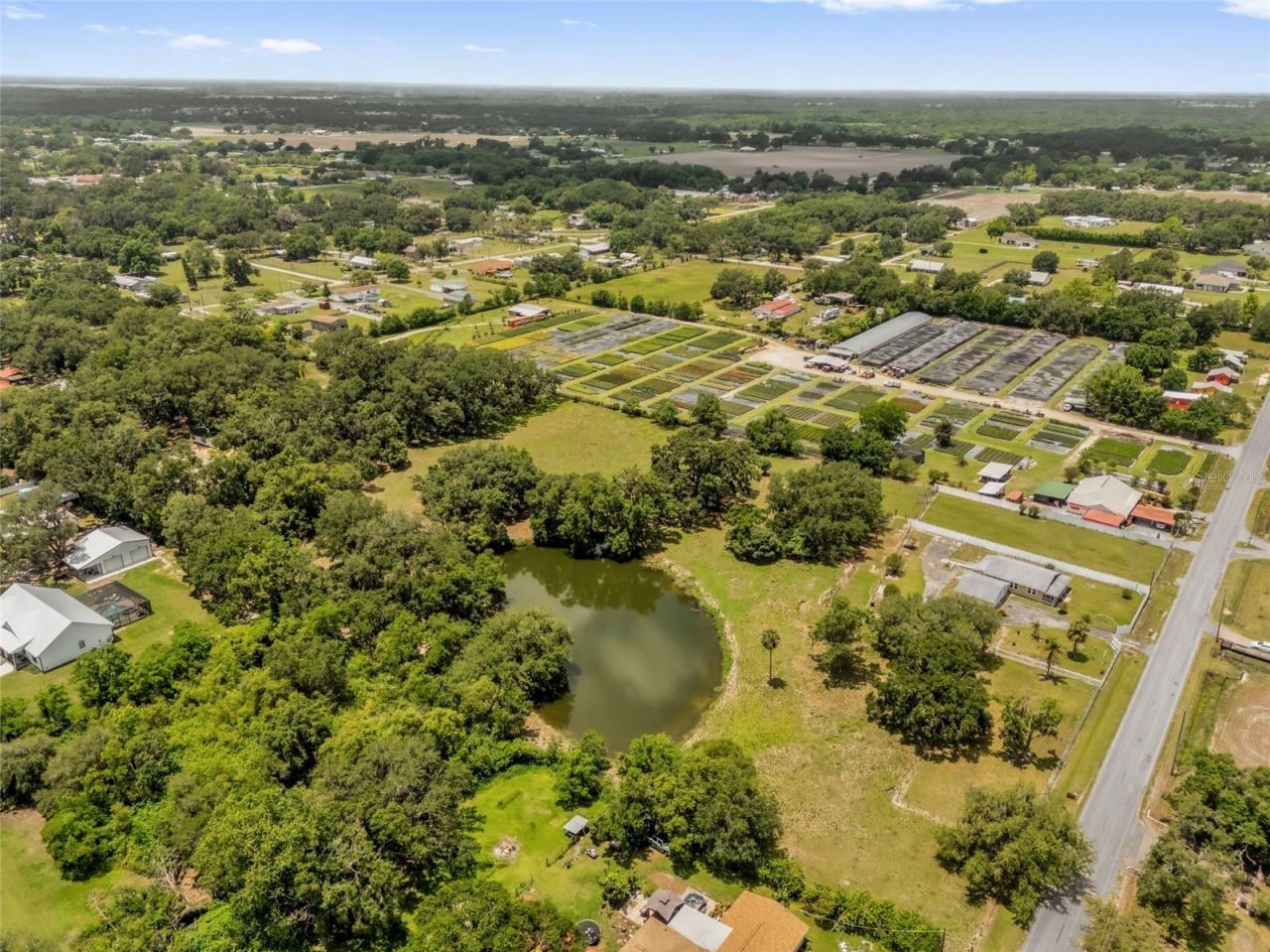 3101 Medulla Road, Plant City, FL 33566 Photo