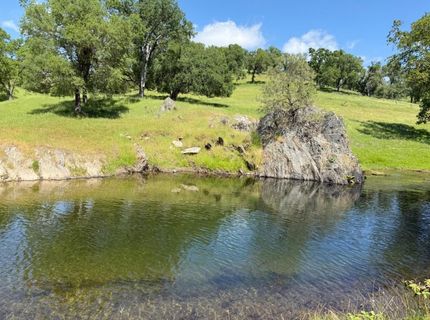 14801 Vaira Ranch Rd, Drytown, CA 95699 Photo