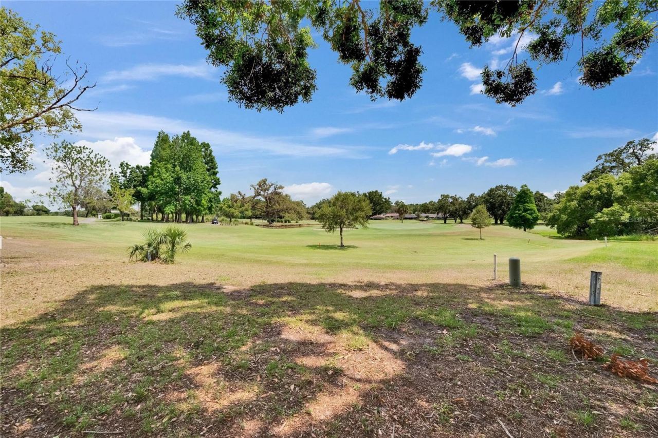 2219 Summit View Drive, Valrico, FL 33596 Photo