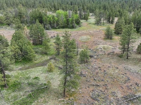 xxxx W Vacant Land Rd, Reardan, WA 99224