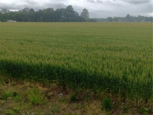 Kino Road Desha Road Landing, Essex, VA 22454