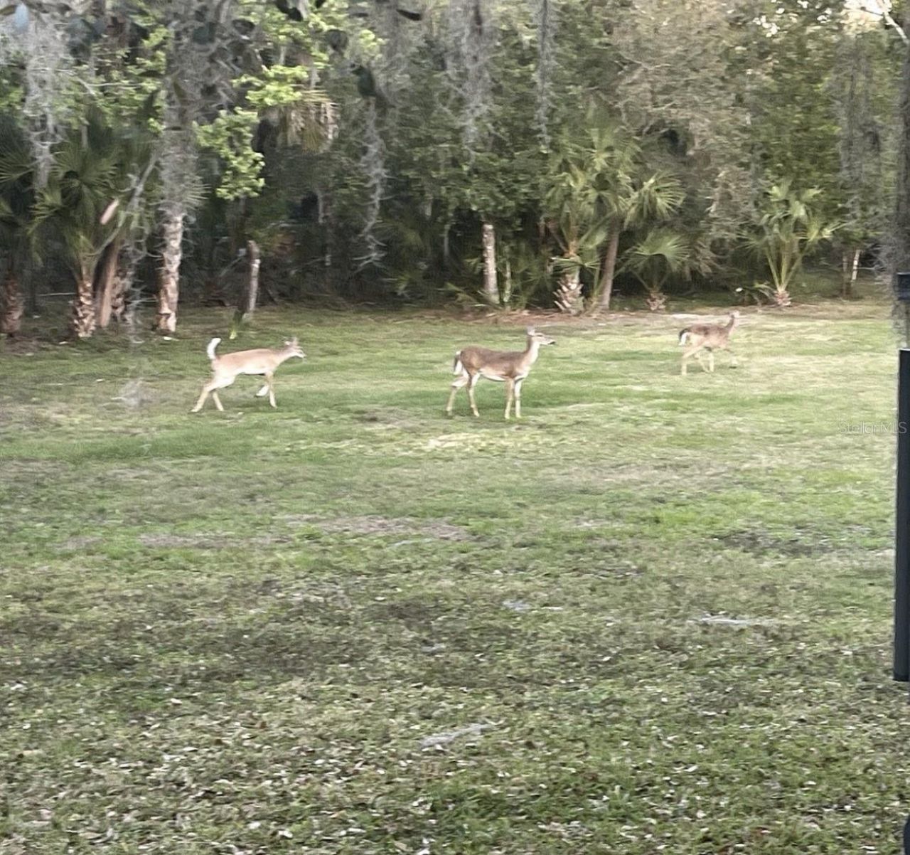 5850 Saddle Oak Trail, Sarasota, FL 34241 Photo