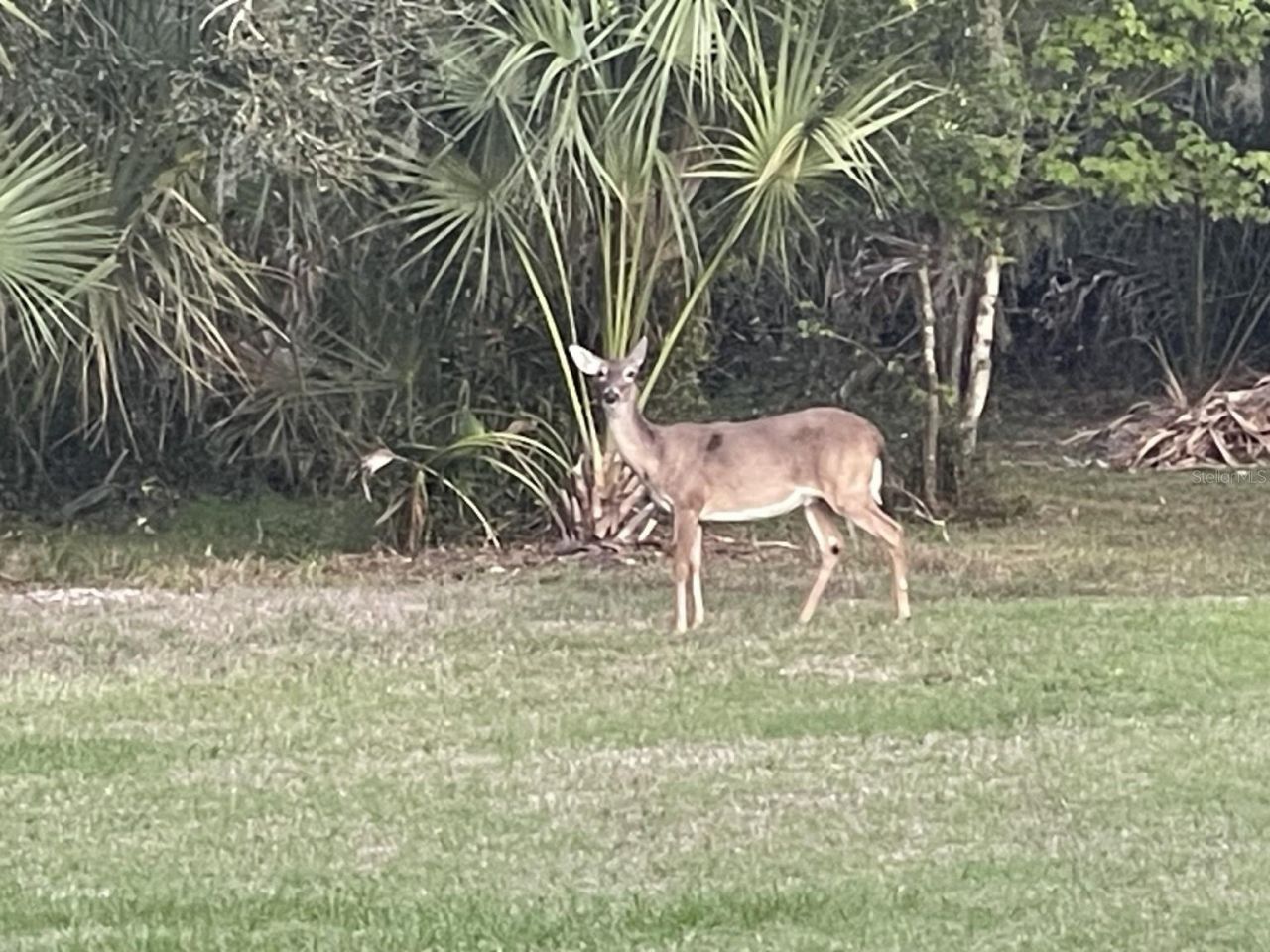 5850 Saddle Oak Trail, Sarasota, FL 34241 Photo