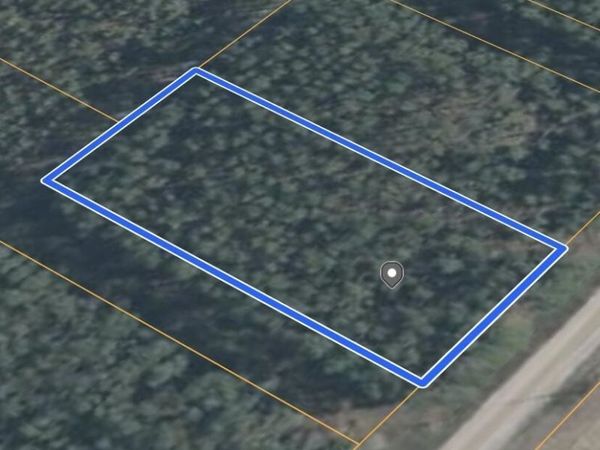 0 NE Cottonwood Street, Lee, FL 32059