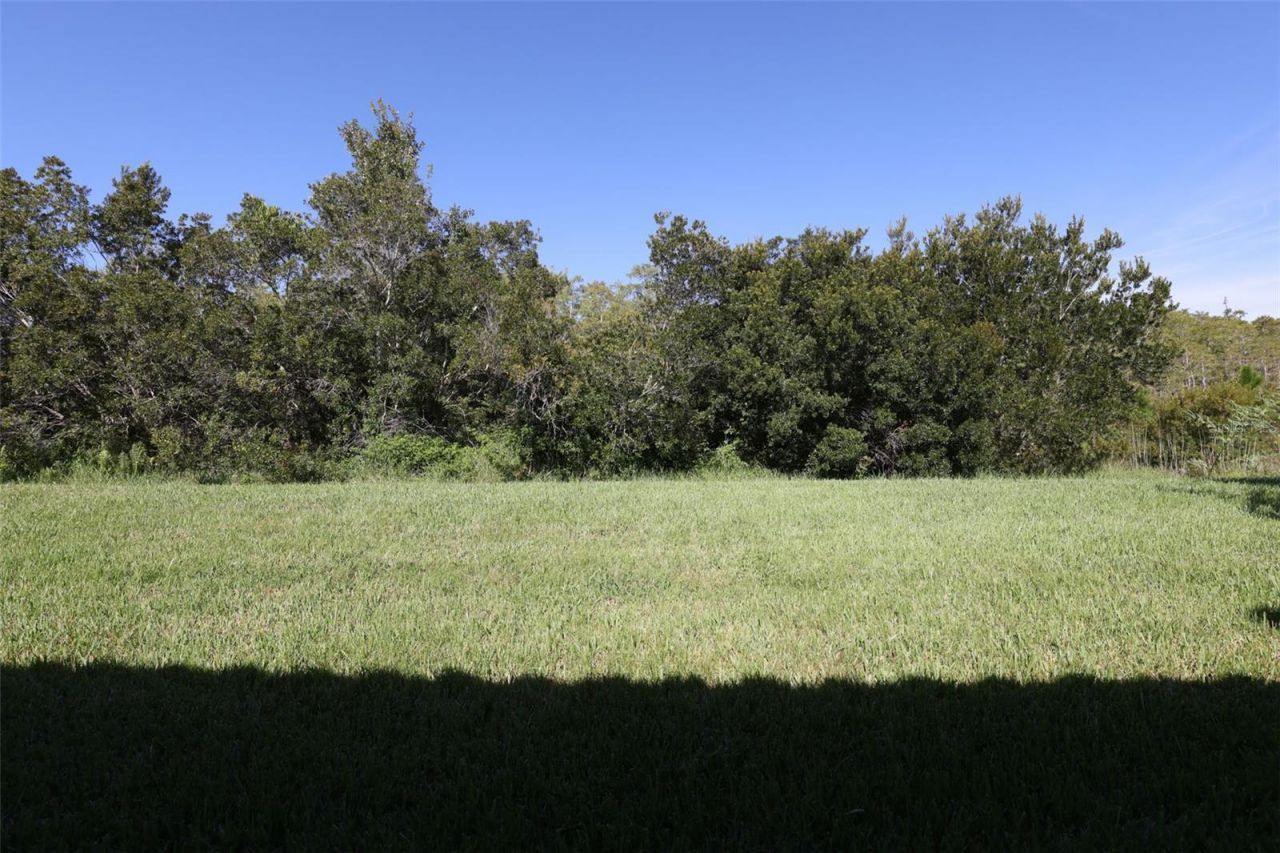 619 Tapatio Lane, Kissimmee, FL 34759 Photo