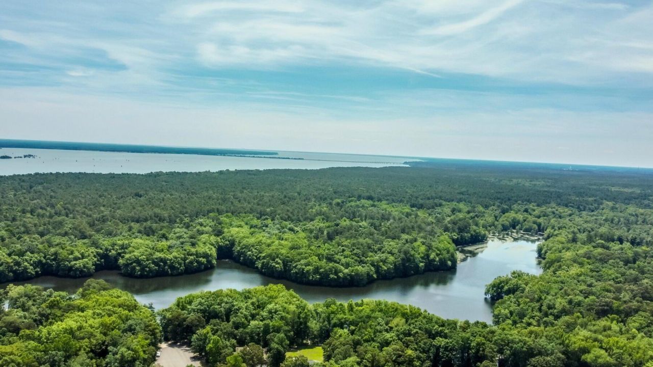 0 Loblolly Court Photo 1