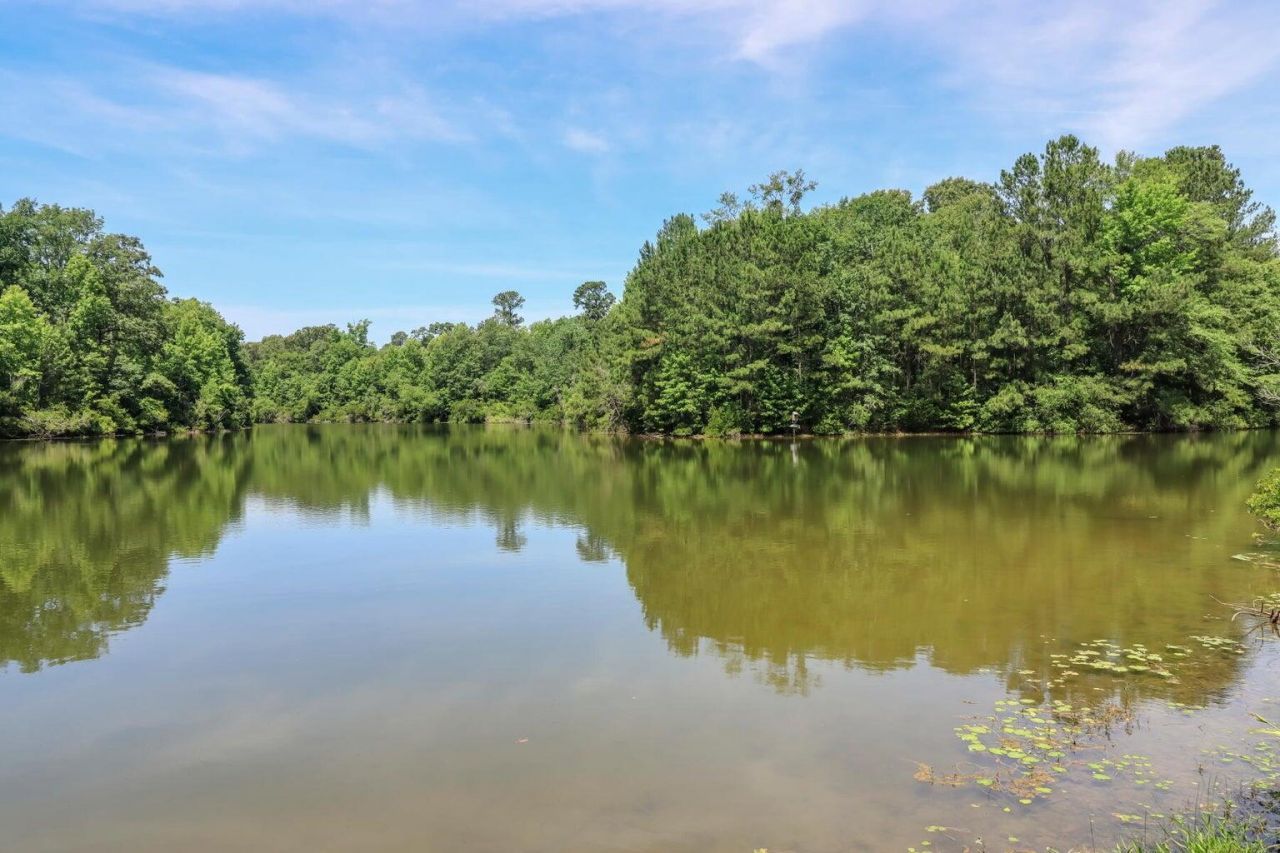 0 Loblolly Court Photo 6