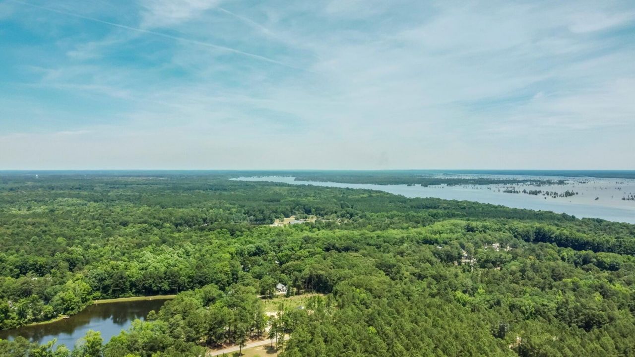 0 Loblolly Court Photo 7