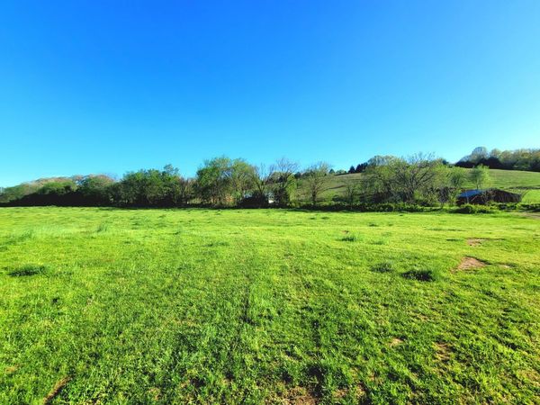 000 Bass Hollow Road , Galena, MO 65656