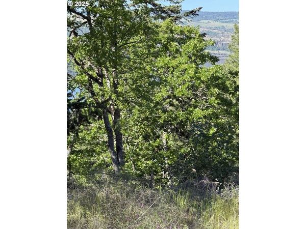 Coyote CT, Unit Lot#43, Mosier, OR 97040