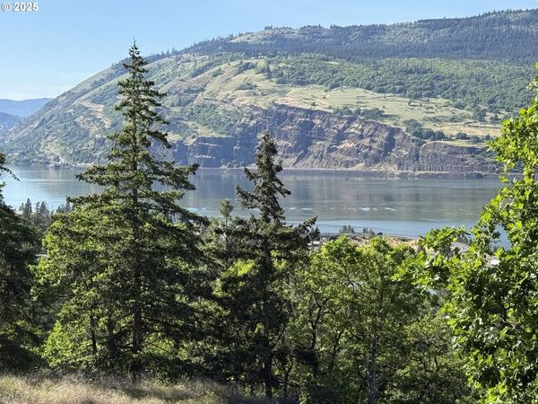 Coyote CT, Unit Lot #49, Mosier, OR 97040