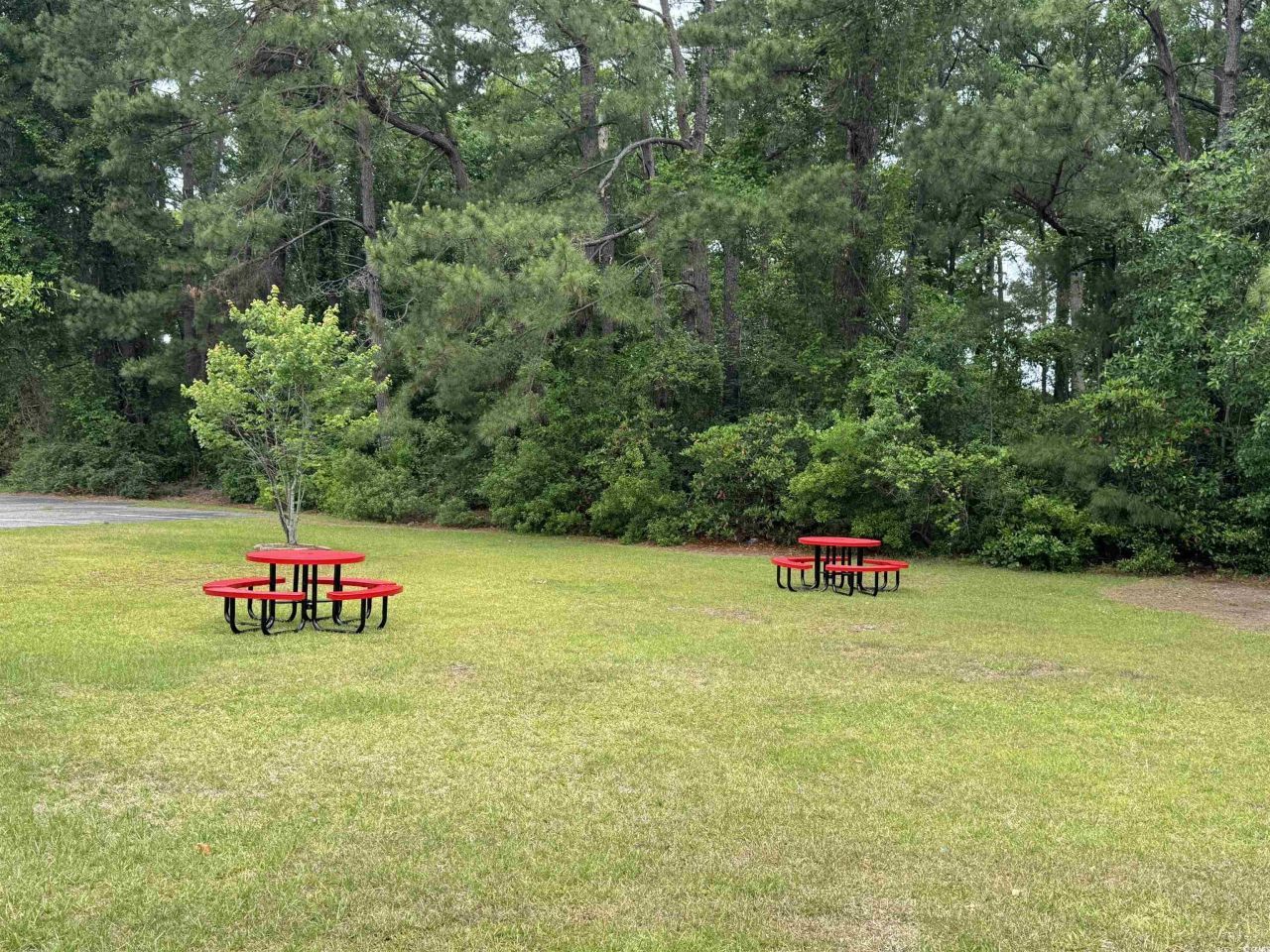 1065 Palm Dr. Photo 39