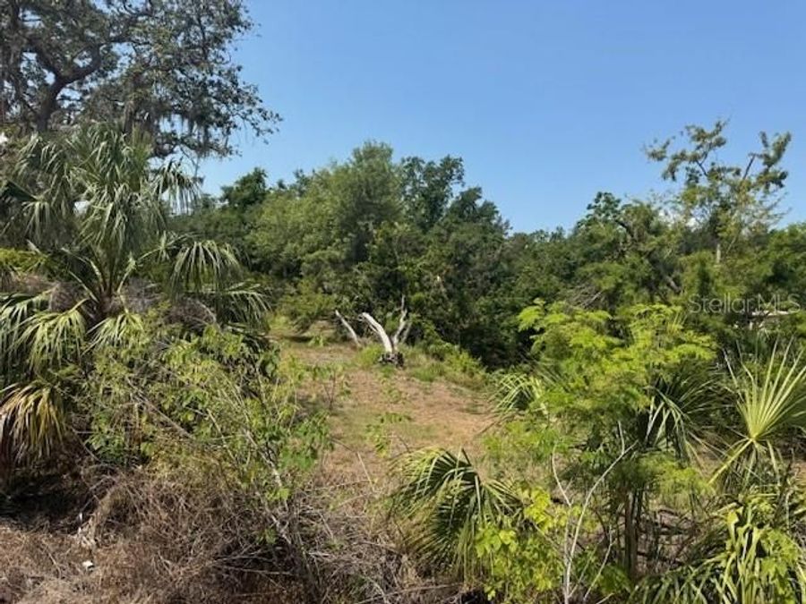 Property Image 4