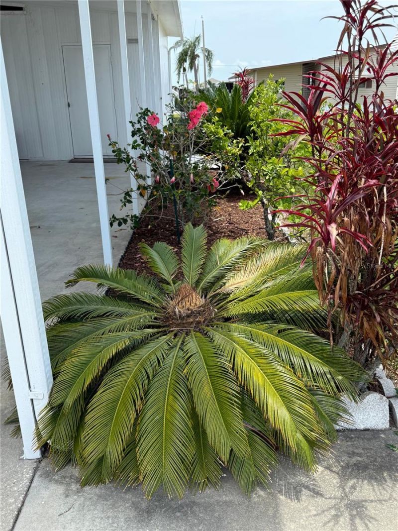 9003 30th Avenue E, Palmetto, FL 34221 Photo