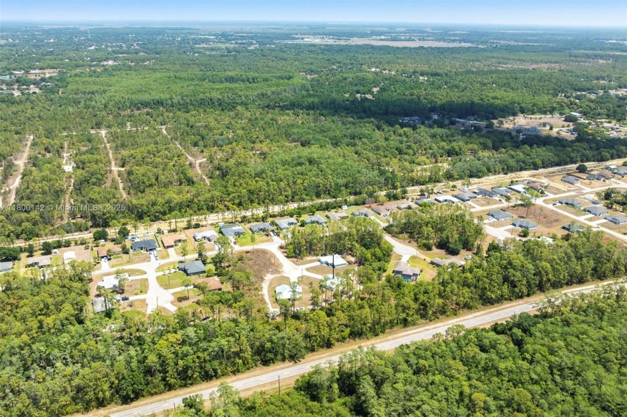 2004 Rosa Ct, Lehigh Acres, FL 33972 Photo