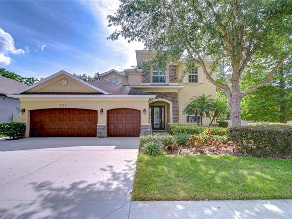 3323 ANNA GEORGE DRIVE, VALRICO, FL 33596