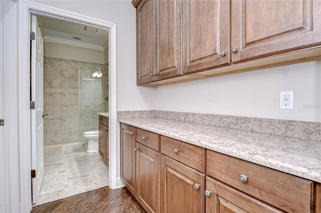 3323 Anna George Drive, Valrico, FL 33596 Photo