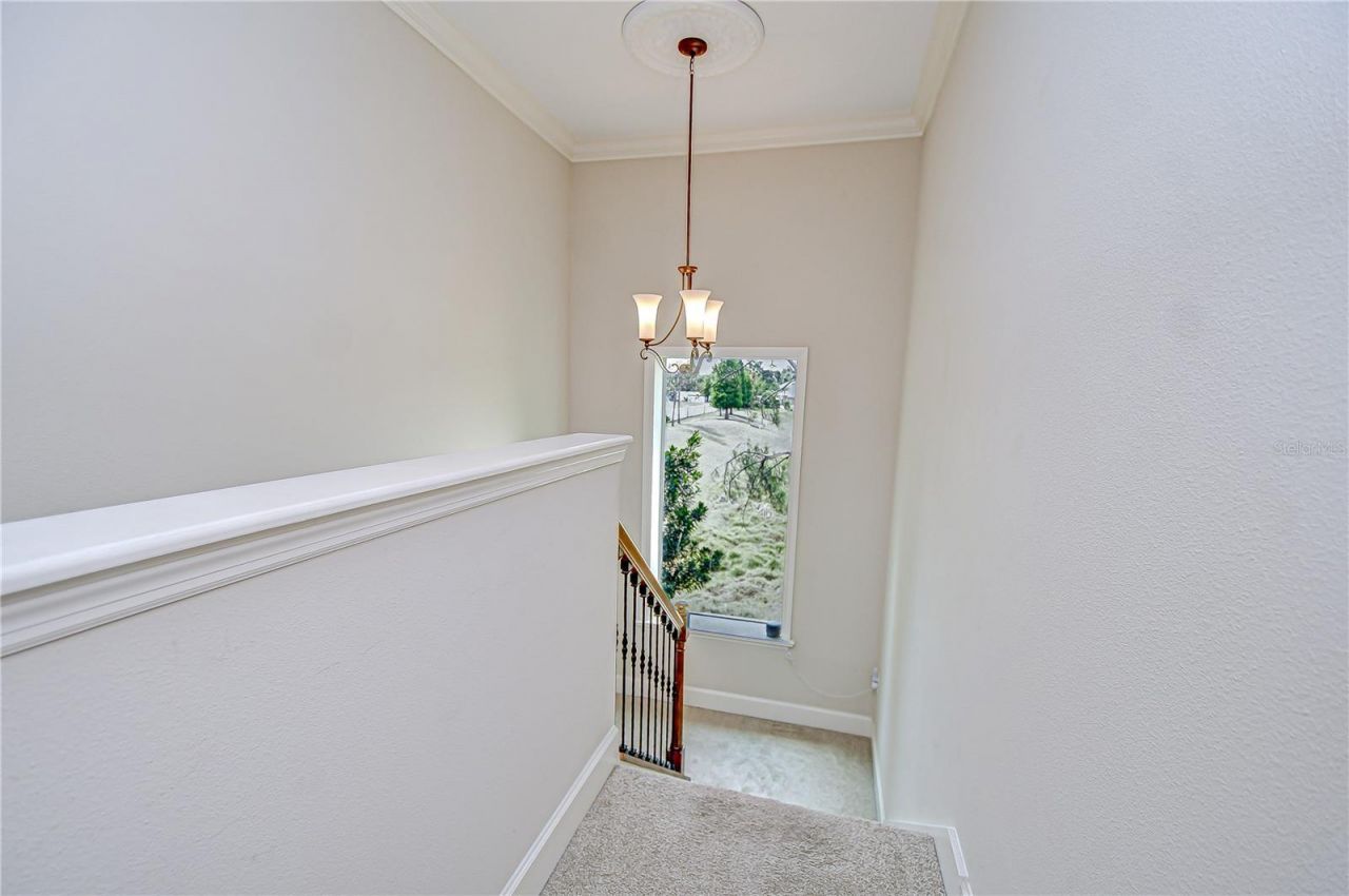 3323 Anna George Drive, Valrico, FL 33596 Photo