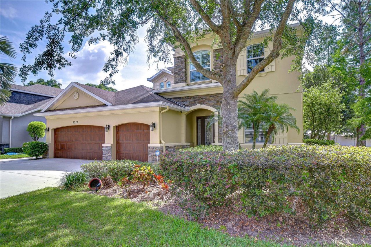 3323 Anna George Drive, Valrico, FL 33596 Photo