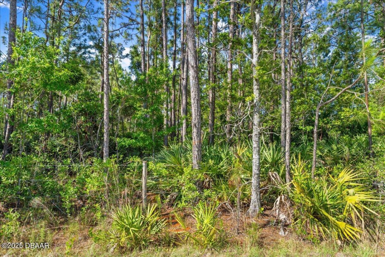 1500 Town West Boulevard, Port Orange, FL 32128 Photo