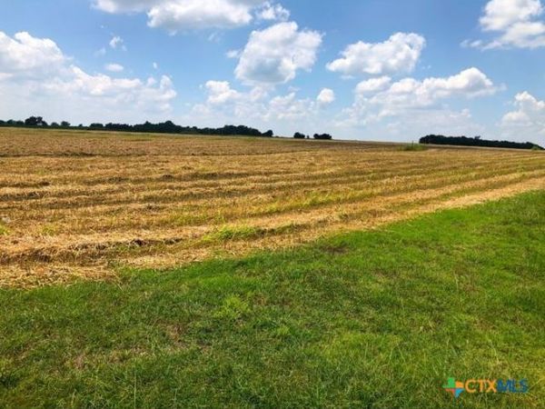 TBD County Road 421, Thrall, TX 76578