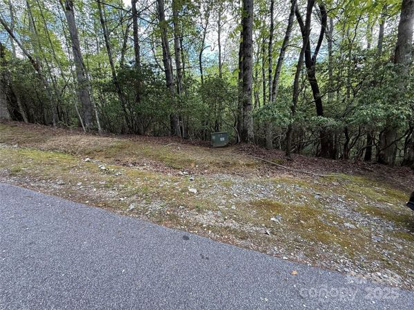 TBD Tellico Trail, Brevard, NC 28712