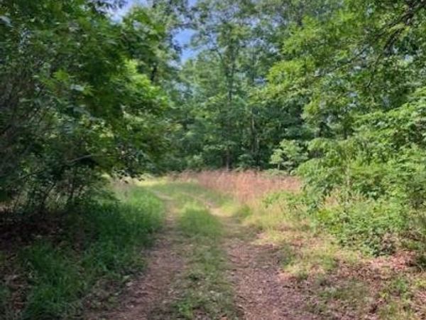 80 Reynolds CR 362, Lesterville, MO 63654