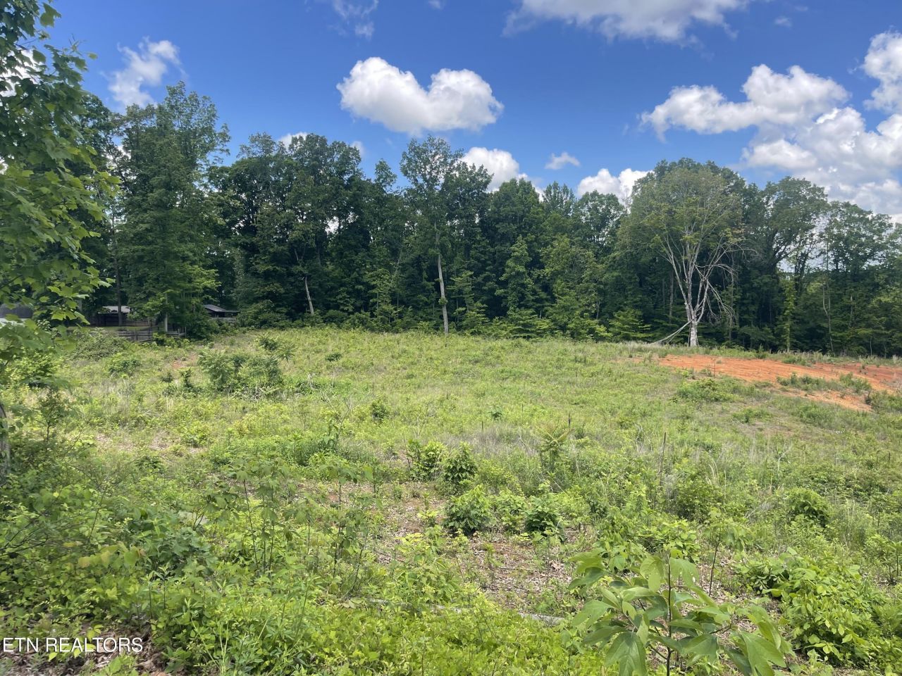Lot 9 Laura Boling Loop Rd, Strawberry Plains, TN 37871 Main Photo
