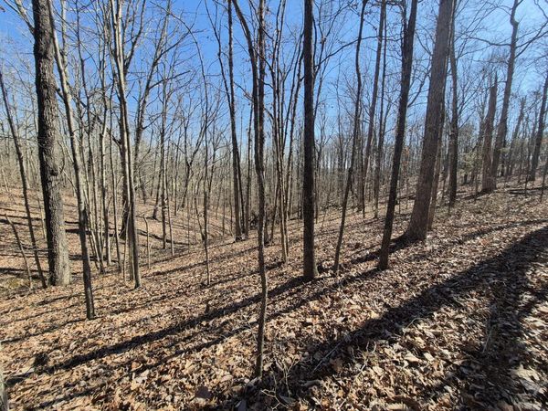 61 Teludachee Trail, South Pittsburg, TN 37380