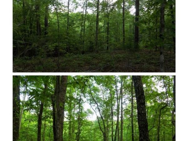 5890 Garner Road, Tuscaloosa, AL 35405