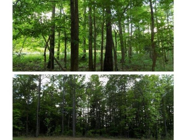 6030 Garner Road, Tuscaloosa, AL 35405