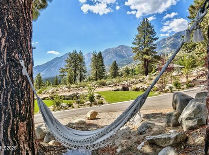 164 Mott Creek Lane, Gardnerville, NV 89460 Photo