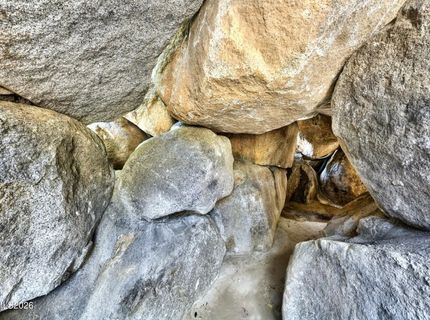 164 Mott Creek Lane, Gardnerville, NV 89460 Photo