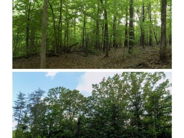 6240 Garner Road, Tuscaloosa, AL 35405