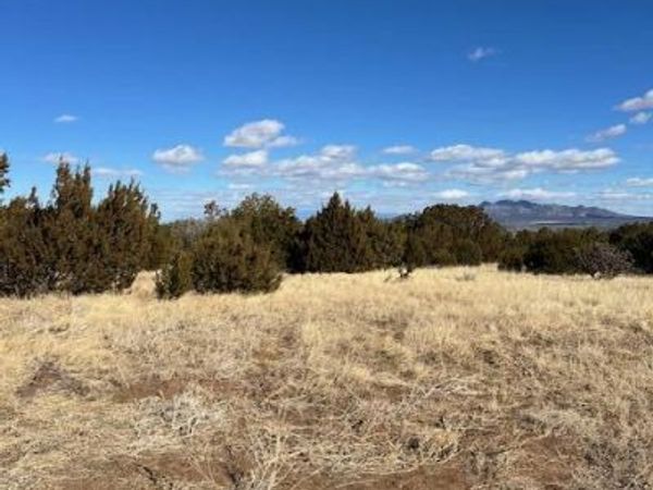 Kings Meadow Road, Sandia Park, NM 87047