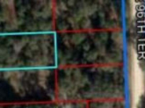 TBD NE 96TH AVENUE, BRONSON, FL 32621