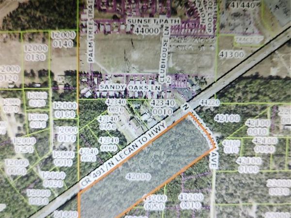 6698 N TREEFARM AVENUE, BEVERLY HILLS, FL 34465