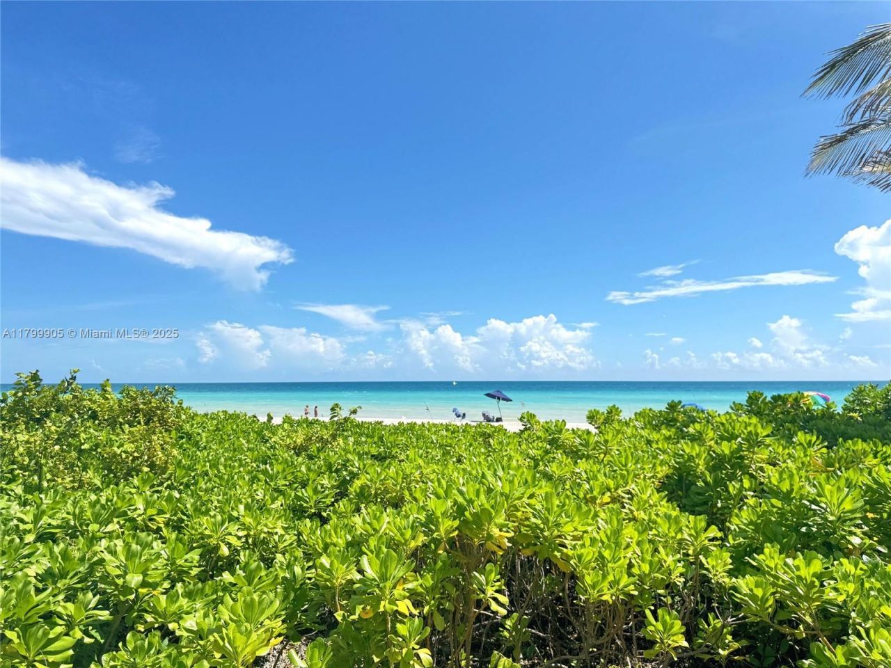 1936 S Ocean Dr, Unit 8D, Hallandale Beach, FL 33009 Photo