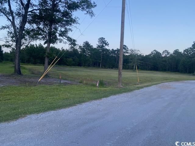 114 Belland Ct. Photo 5