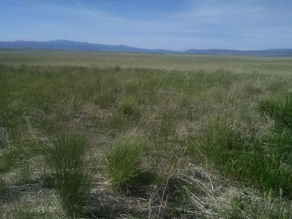 NNA NNA 635.48 acres Airport Rd., Bancroft, ID 00000